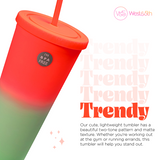 Two Tone Rubber Coated Tumbler- Peach to Mint
